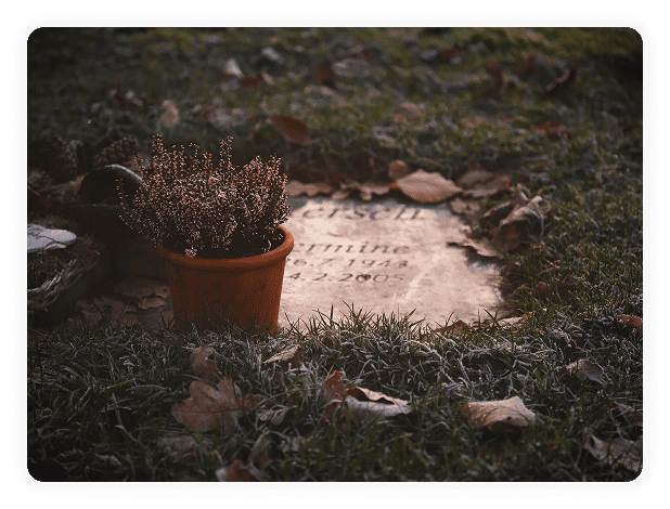 A frosted grave with a potted plant sits on the grass. Fallen leaves partially cover the surface, and the engraved name and dates on the gravestone are faintly visible. The atmosphere is somber and quiet.