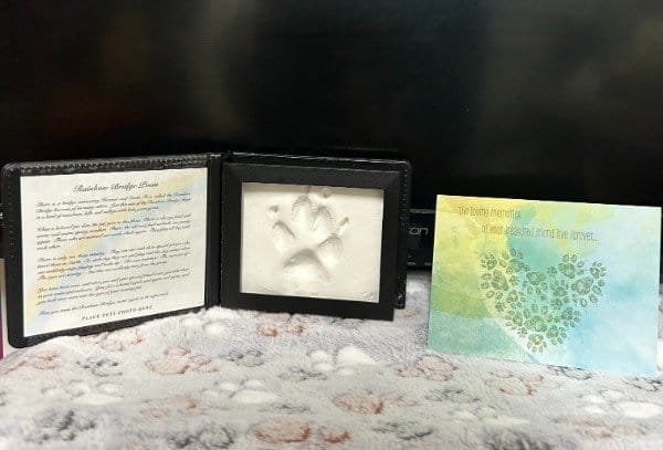 A pet memorial display with a paw print impression in a black frame, a printed note on the left, and a sympathy card decorated with a heart-shaped paw print pattern on the right, all placed on a soft, paw-print blanket.